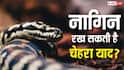 क्या सच में नाग की मौत का बदला लेने आती है नागिन, अंधविश्वास या इसके पीछे है कोई साइंस?