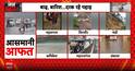 Weather Alert: Heavy Rain Triggers Floods and Landslides Across India