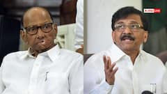 शरद पवार के पाला बदलने की अटकलों पर संजय राउत का बड़ा बयान, 'वो दिन-ब-दिन...'
