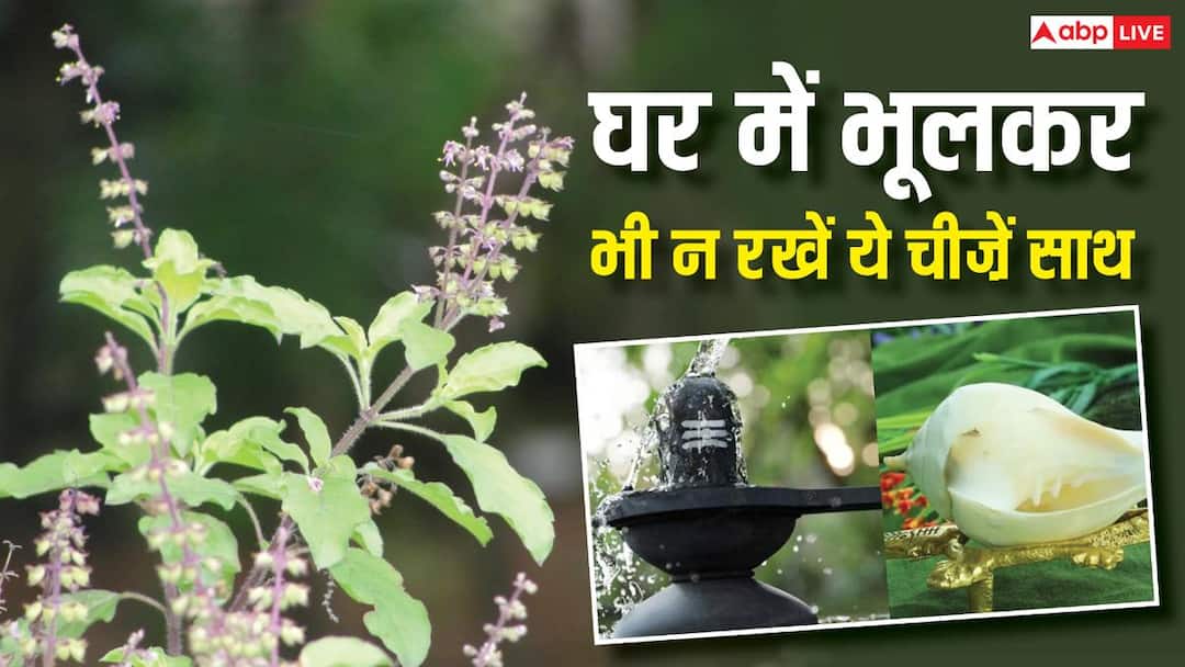 Vastu Tips: घर में तुलसी, शंख और शिवलिंग तीनों को एक साथ रखना पड़ सकता है भारी, तुरंत जान लें व