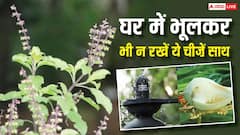 Vastu Tips: घर में तुलसी, शंख और शिवलिंग तीनों को एक साथ रखना पड़ सकता है भारी, तुरंत जान लें वजह