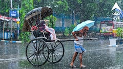Weather Update: প্রবল দুর্যোগের কমলা সতর্কতা দুই জেলায়, রথের দিন কেমন থাকবে আবহাওয়া?