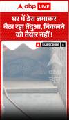 घर के अंदर तेंदुए ने डेरा जमाया, बाहर निकलने से इनकार।