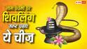 Nag Panchami 2026: नाग पंचमी पर शिवलिंग पर क्या चढ़ाना सबसे शुभ माना गया है? एक छोटी-सी भूल पड़ सकती है भारी