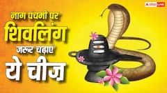 Nag Panchami 2026: नाग पंचमी पर शिवलिंग पर क्या चढ़ाना सबसे शुभ माना गया है? एक छोटी-सी भूल पड़ सकती है भारी