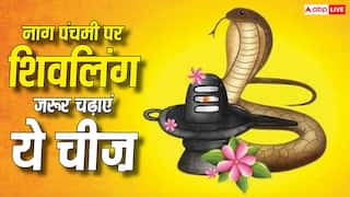 Nag Panchami 2026: नाग पंचमी पर शिवलिंग पर क्या चढ़ाना सबसे शुभ माना गया है? एक छोटी-सी भूल पड़ सकती है भारी