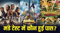 मंडे को बॉक्स ऑफिस पर रहा 'धमाल 4' का कब्जा, जानं-'वेलकम टू जंगल' और 'अल्फा' का हाल