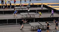 Delhi Unveils Official Mascot 'Mayur' For Commonwealth Table Tennis Championships 2026