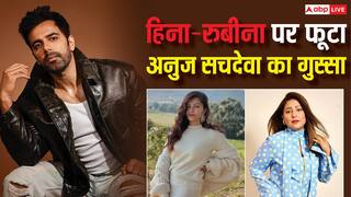 'आप लोगों के लिए बुरा लग रहा है...', गौरव खन्ना के तलाक पर हिना-रुबीना के कमेंट से भड़के अनुज सचदेवा