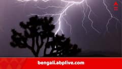 পথেই দাঁড়িয়ে রইল পোষ্য, আচমকা বজ্রপাতে রাস্তায় গড়িয়ে পড়লেন মনিব, মর্মান্তিক ঘটনা বাঁকুড়ায়