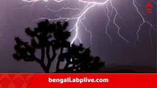Bankura News: পথেই দাঁড়িয়ে রইল পোষ্য, আচমকা বজ্রপাতে রাস্তায় গড়িয়ে পড়লেন মনিব, মর্মান্তিক ঘটনা বাঁকুড়ায়