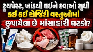 ટૂથપેસ્ટ, ખાંડથી લઈને દવાઓ સુધી: જાણો કઈ કઈ રોજિંદી વસ્તુઓમાં છુપાયેલા છે માંસાહારી ઘટકો