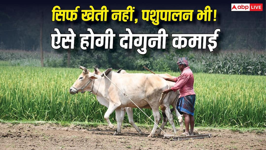 खेती, पशुपालन और मुर्गी पालन एक साथ! जानिए क्या है मिक्स्ड फार्मिंग का सबसे सफल मॉडल? खेती, पशुपालन और मुर्गी पालन एक साथ! जानिए क्या है मिक्स्ड फार्मिंग का सबसे सफल मॉडल?