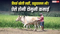 खेती, पशुपालन और मुर्गी पालन एक साथ! जानिए क्या है मिक्स्ड फार्मिंग का सबसे सफल मॉडल?