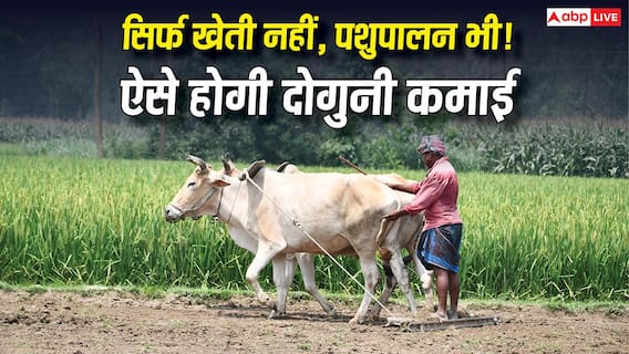 Benefits Of Integrated Farming: खेती, पशुपालन और मुर्गी पालन एक साथ! जानिए क्या है मिक्स्ड फार्मिंग का सबसे सफल मॉडल? Benefits Of Integrated Farming: खेती, पशुपालन और मुर्गी पालन एक साथ! जानिए क्या है मिक्स्ड फार्मिंग का सबसे सफल मॉडल?