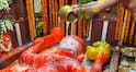 Hanuman Temple: बाढ़ नहीं, आशीर्वाद माना जाता है माँ गंगा का यह पावन स्पर्श