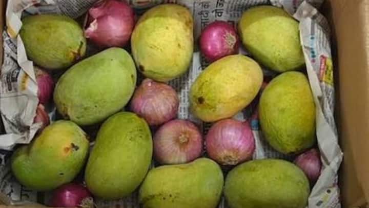 इसके अलावा आप एक पेपर बैग के अंदर कच्चे आमों के साथ एक साबुत प्याज रख दें और बैग का मुंह अच्छी तरह बंद कर दें. प्याज से निकलने वाली गैस और बैग की बंद गर्माहट मिलकर आमों को सिर्फ 24 से 48 घंटे में खाने लायक मीठा बना देती है.