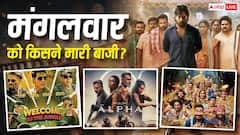 मंगलवार को ‘धमाल 4’ ने लूटा बॉक्स ऑफिस, दम तोड़ रही 'अल्फा', जानें- कलेक्शन
