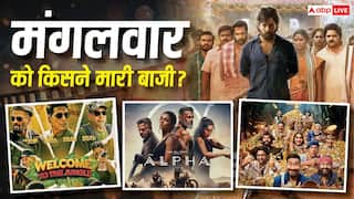 Tuesday Box Office: मंगलवार को ‘धमाल 4’ ने लूटा बॉक्स ऑफिस, दम तोड़ रही 'अल्फा', जानें- 'वेलकम टू द जंगल' का कलेक्शन