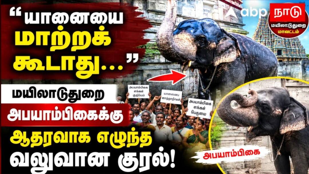 50 ஆண்டு காலப் பாசம்..பிரிய மனமில்லாத மக்கள்! மயூரநாதர் கோவில் யானை அபயாம்பிகைக்கு என்ன நேரும்?
