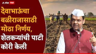 Devendra Fadnavis on Farmers: देवाभाऊंची मोठी घोषणा, शेतकऱ्यांची वीजबिलाची पाटी कोरी केली, थकित वीजबिल माफ