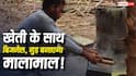 Jaggery Making Business: गन्ने की खेती के साथ शुरू करें गुड़ बनाने का बिजनेस, जानिए कितना आएगा खर्च और कितनी भरेगी जेब