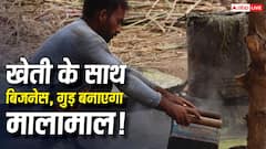 गन्ने की खेती के साथ शुरू करें गुड़ बनाने का बिजनेस, जानिए कितना आएगा खर्च और कितनी भरेगी जेब