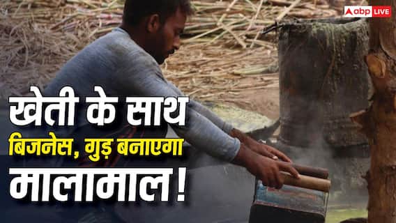 Jaggery Making Business: गन्ने की खेती के साथ शुरू करें गुड़ बनाने का बिजनेस, जानिए कितना आएगा खर्च और कितनी भरेगी जेब Jaggery Making Business: गन्ने की खेती के साथ शुरू करें गुड़ बनाने का बिजनेस, जानिए कितना आएगा खर्च और कितनी भरेगी जेब