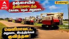 தஞ்சையில் தீவிரமடைந்த கோடை நெல் அறுவடை: வெளிமாவட்ட அறுவடை இயந்திரங்கள் குவிந்தன