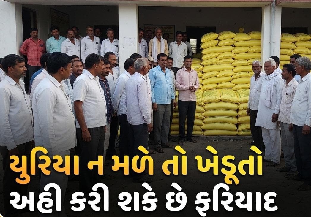 જો ખેડૂતોને સમયસર યુરિયા ન મળે તો તેઓ ફરિયાદ ક્યાં કરી શકે? અહીં જાણો.