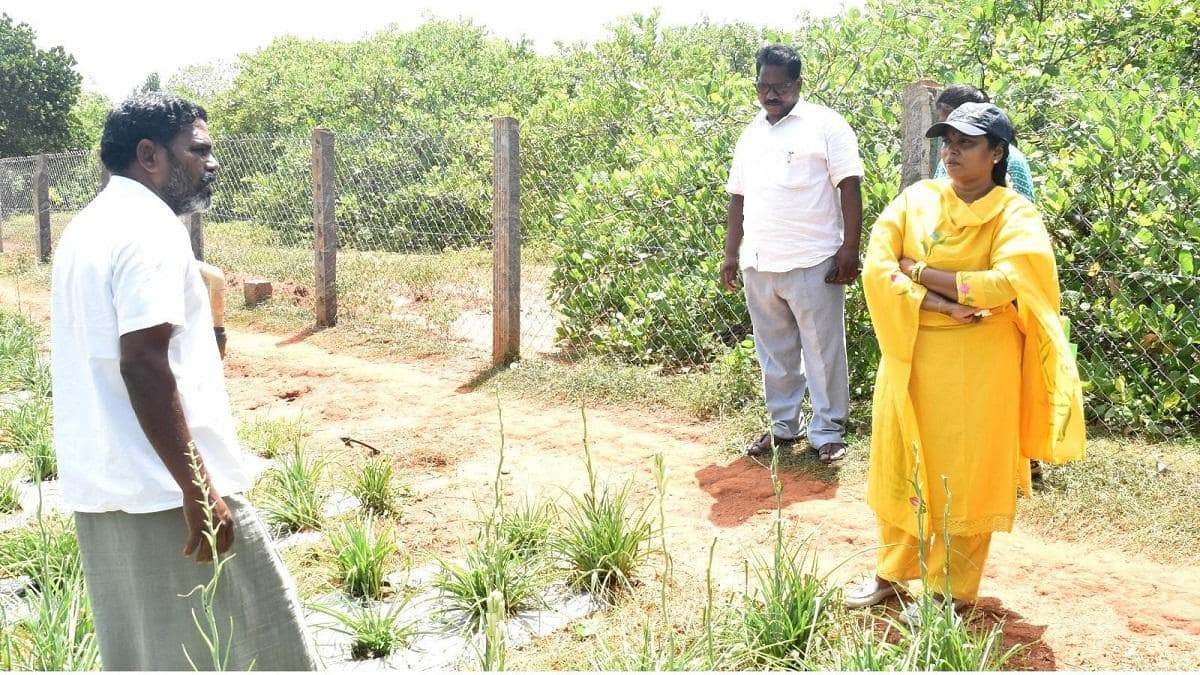 தொழில்நுட்ப ஆலோசனைகள் தொடர்ந்து வழங்கணும்: அரியலூர் மாவட்ட ஆட்சியர் உத்தரவு எதற்காக? 