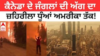 ਕੈਨੇਡਾ ਦੀ ਜੰਗਲੀ ਅੱਗ ਦਾ ਜ਼ਹਿਰੀਲਾ ਧੂੰਆਂ ਅਮਰੀਕਾ ਤੱਕ, ਜਾਣੋ ਕਿਵੇਂ ਪਹੁੰਚਿਆ?