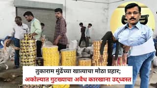 Tukaram Mundhe FDA Action: तुकाराम मुंढेंच्या खात्याचा मोठा प्रहार; अकोल्यात गुटख्याचा अवैध कारखाना उद्ध्वस्त, 50 लाखांचा मुद्देमाल जप्त, गुटखा माफियांचे धाबे दणाणले