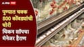 पुण्यातील कॅम्पातून चक्क 800 कोंबड्यांची चोरी, चिकन सेंटरचा मॅनेजर हैराण; पोलिसांत गुन्हा दाखल