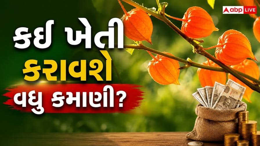 Ashwagandha Stevia Farming: અશ્વગંધાથી લઈને સ્ટીવિયા સુધી શેમાં છે વધુ કમાણી, કયા છોડની ખેતી કરે ખેડૂતો?