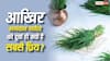 Ganesh Ji Mystery: भगवान गणेश को दूर्वा ही क्यों चढ़ाई जाती है? जानें इसके पीछे छिपे का रहस्य