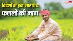 विदेशों में बढ़ रही इन भारतीय फसलों की डिमांड, किसानों के लिए बन सकता है मौका
