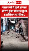 Viral Video: Italian Citizen Seen Talking to a Dog in Varanasi... Video Goes Viral