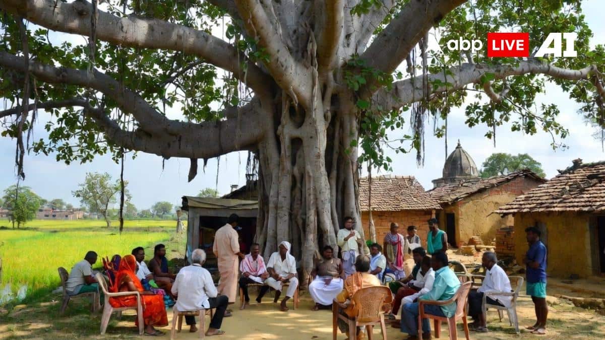 बिहार में परिसीमन से पंचायत और वार्ड की संख्या बढ़ेगी, होल्डिंग टैक्स कितना लगेगा? जानें