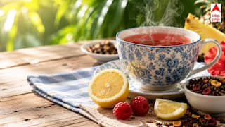 Hot Tea in Summer: ਗਰਮੀਆਂ ਦੇ ਮੌਸਮ ਵਿੱਚ ਗਰਮ ਚਾਹ ਪਿਆਸ ਕਿਵੇਂ ਬੁਝਾਉਂਦੀ ਹੈ, ਇਸ ਪਿੱਛੇ ਕੀ ਵਿਗਿਆਨ ਹੈ?