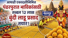वारकऱ्यांसाठी आनंदवार्ता! आषाढी एकादशीनिमित्त पंढरपुरात तब्बल 12 लाख बुंदी लाडू प्रसाद तयार, FDA कडून तपासणी पूर्ण
