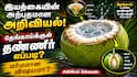 தேங்காய்க்குள் தண்ணீர் எப்படி வருகிறது? மர்மம் அல்ல... இயற்கையின் அற்புதமான அறிவியல்!