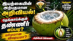 தேங்காய்க்குள் தண்ணீர் எப்படி வருகிறது? மர்மம் அல்ல... இயற்கையின் அற்புதமான அறிவியல்!