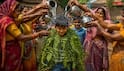 Monsoon: रूठे मानसून को मनाने के लिए गधे को गुलाब जामुन तो कहीं श्मशान में बुवाई, अनोखे टोटके अपना रहे लोग
