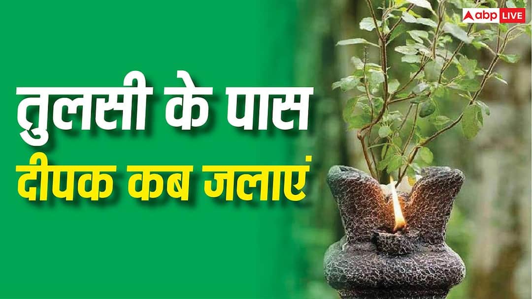 Tulsi Rules: Are you also committing this mistake knowingly or unknowingly? Tulsi has the right time to light a lamp.