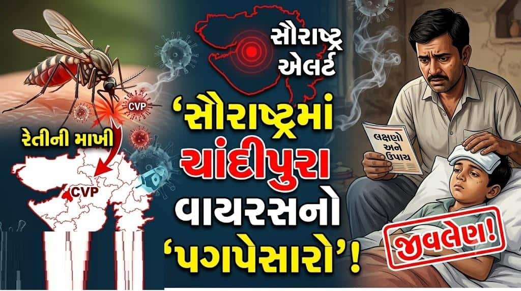 સૌરાષ્ટ્રમાં ચાંદીપુરા વાયરસના શંકાસ્પદ કેસ