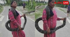10 फिट लंबा कोबरा निकला तो महिला ने खिलौना समझकर पकड़ लिया, होश उड़ा देगा यह वीडियो