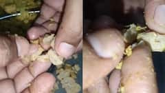 Dharashiv FDA Raid News: धाराशिवमध्ये शालेय पोषण आहारात आढळल्या अळ्या; FDA चे अधिकारी शाळेत पोहोचले अन्...