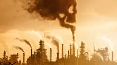 Most Polluted Cities: दुनिया के टॉप 50 सबसे प्रदूषित शहरों की लिस्ट जारी, जानें इसमें दिल्ली और मुंबई का कितना नंबर