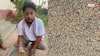 डूंगरपुर के हॉस्टल में बच्चों की सेहत से खिलवाड़, खाने में कीडे़ और कंकड़ देख भड़के विधायक